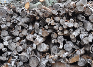 Dugoročna ušteda uz pomoć biomase u Prijedoru