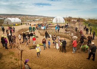 Čišćenje rečnog rukavca na Adi Huji