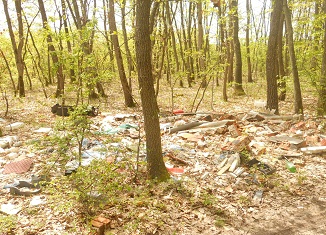 Građani Kragujevca pozivaju nadležne organe da reše probleme divljih deponija