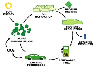 biodiesel_lanac