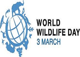 Danas je Svetski dan divlje flore i faune