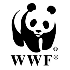 wwf climatenetwork.org