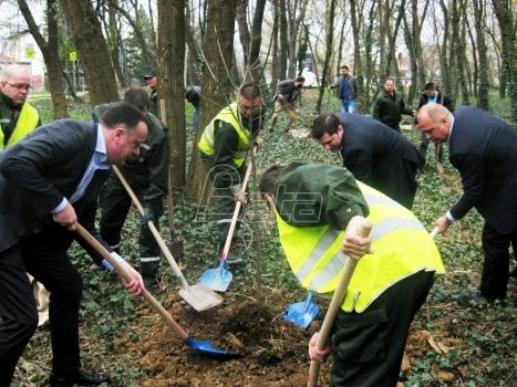 bajfordova-suma_1458559216.467x350