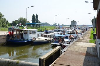 Regata u novosadskoj prevodnici_4743