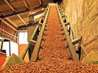 news-2014-march-biomasa_drvni_otpad_906377795