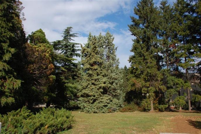 6faf95a407946923d692f4ddda792716_xl