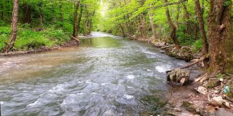 reka-mlava-priroda-ekologija_660x330