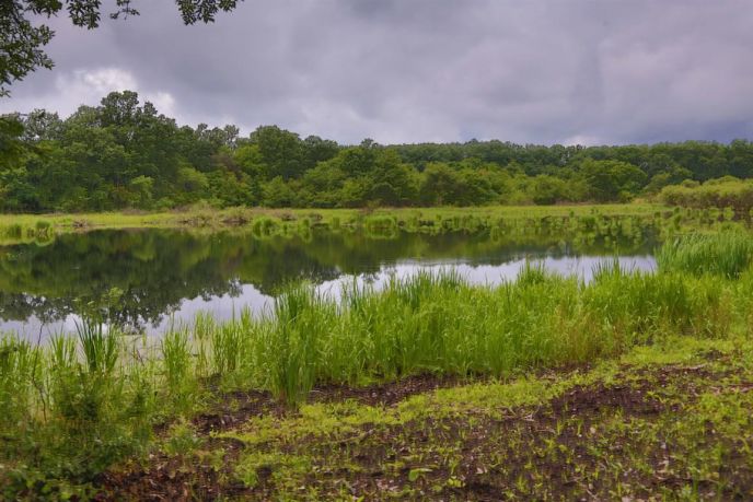 Izazovi zaštite prirode i edukacije u rezervatu biosfere „Mura-Drava-Dunav“