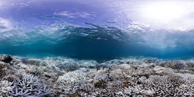 Veliki koralni greben neće biti na listi ugrožene baštine