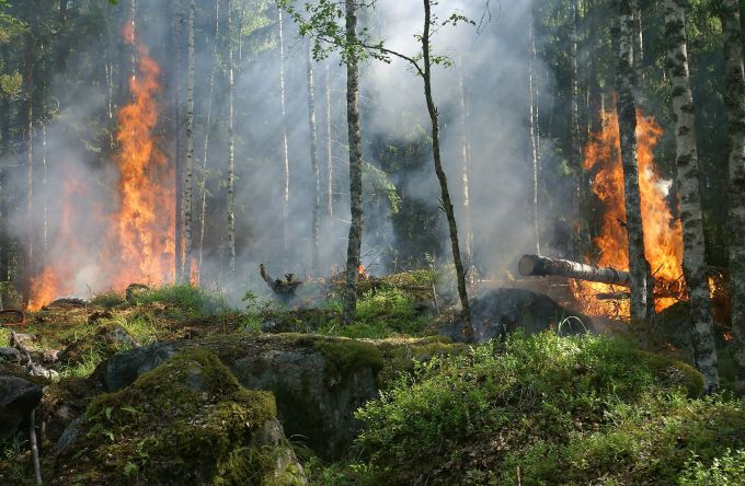 Švedska u borbi sa požarima