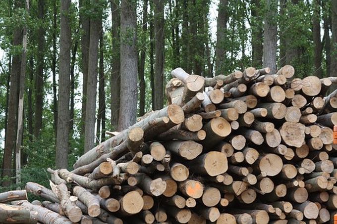 Toplana u Majdanpeku prelazi na biomasu