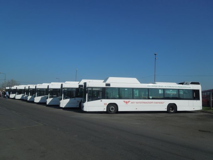pancevo-autobusi