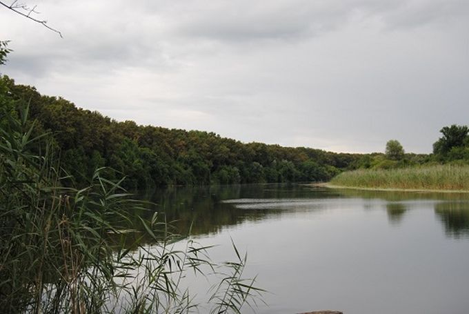 Učešće JP „Vojvodinašume“ na „Bodrog Festu“