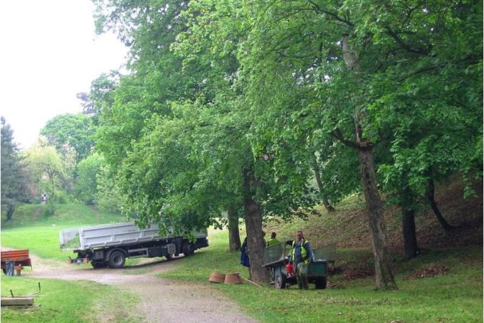 NOVI SAD: Počinje sanacija jezera u Kameničkom parku, uskoro postavljanje rasvete na solarne panele