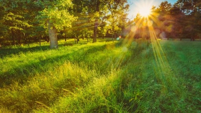 Park prirode „Slatine u dolini Zlatice” postaje zaštićeno područje