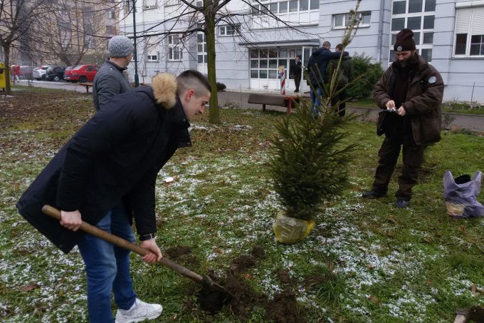 Zasađene sadnice u okviru projekta „Da opet čujemo cvrkut vrabaca“