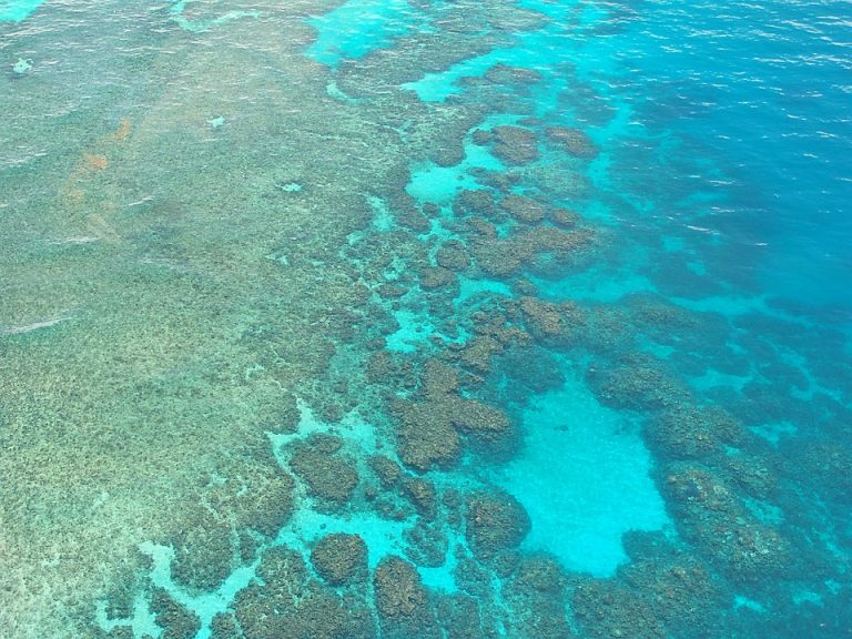 Nova nada za Veliki koralni greben