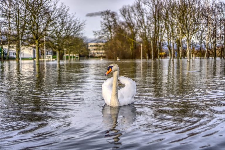 Evropa će se sve više suočavati sa poplavama