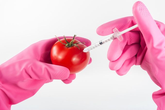 #throwbackthursday: Genetički modifikovana hrana – za i protiv