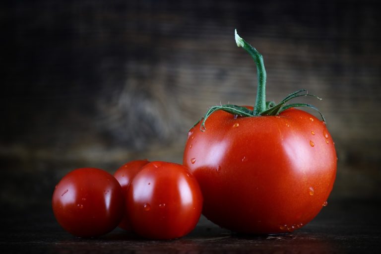 Inspekcija tvrdi da je paradajz sa spornom deklaracijom ispravan, stručnjaci zabrinuti