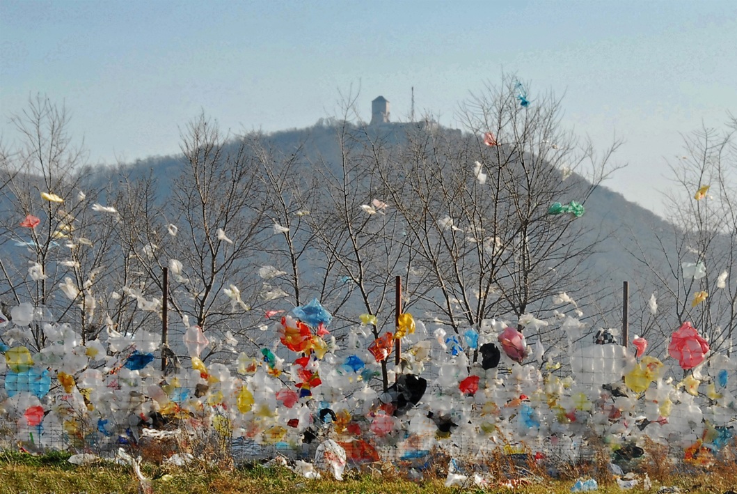 4.D.Lapcevic Vrsacki breg