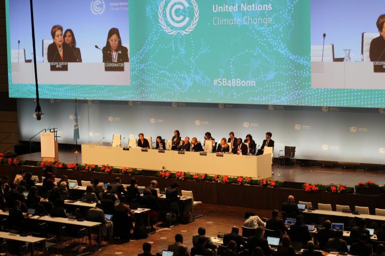Bon: Otvoreno zasedanje Ujedinjenih nacija o klimatskim promenama, kamen spoticanja – funkcionisanje sajta