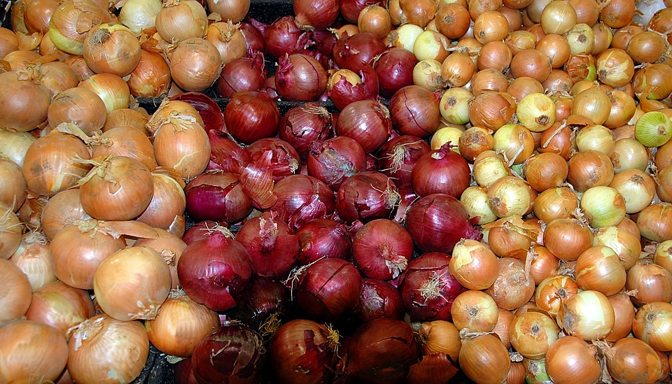 onions-1592879_960_720