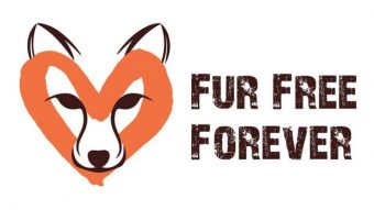 Foto: Fur free forever