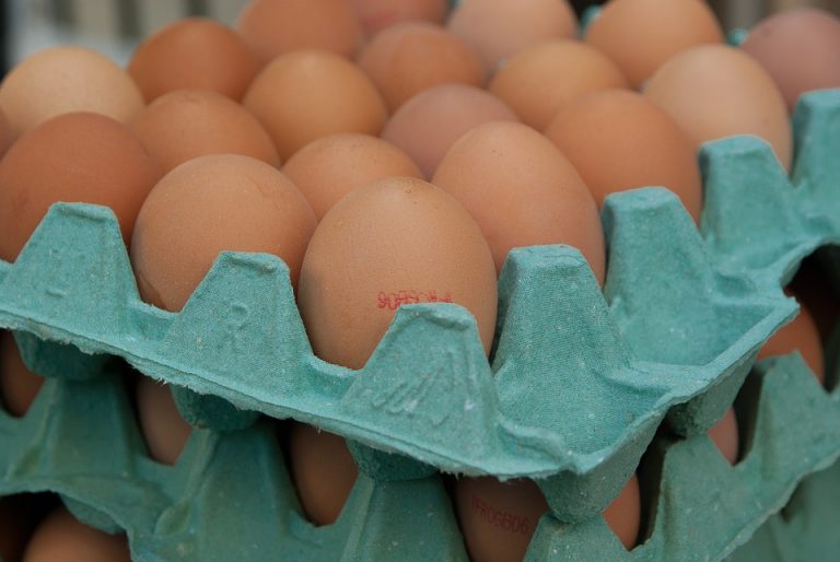 Uskoro dozvola za izvoz jaja i piletine u EU