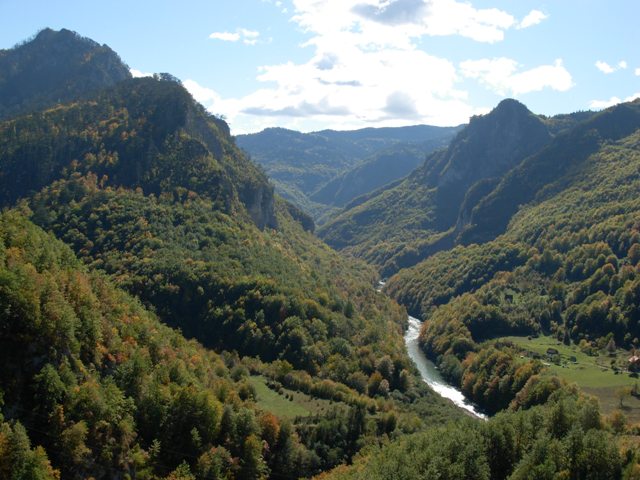 Crna Gora prepoznata kao područje koje obiluje raznovrsnošću biodiverziteta