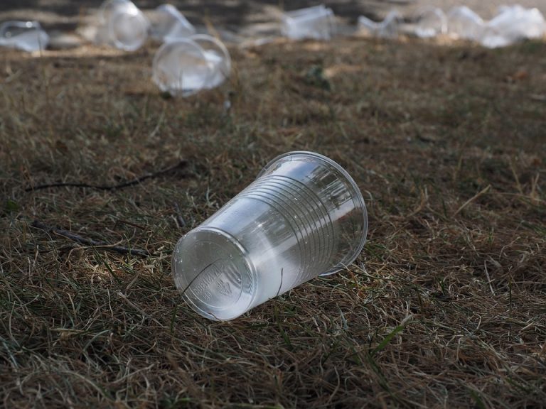 Francuska zabranjuje upotrebu plastičnih čaša, tanjira i escajga