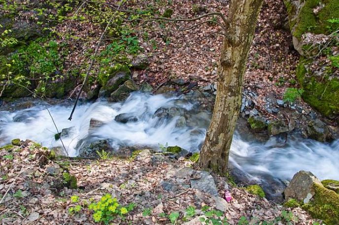 Radni dan za prirodu – Uređenje NP „Fruška gora“