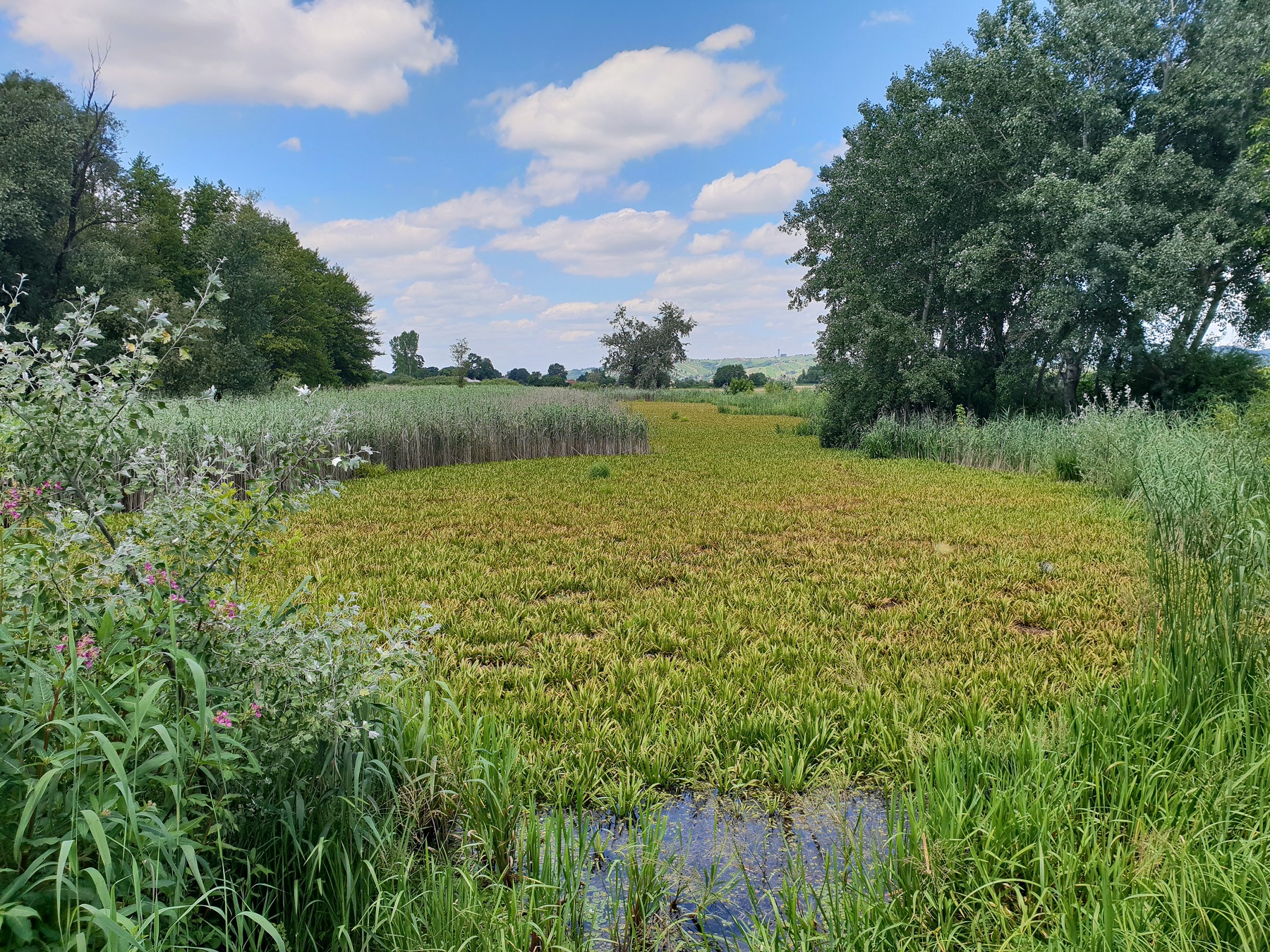 Reka Mura 01 credits Aleksander Koren