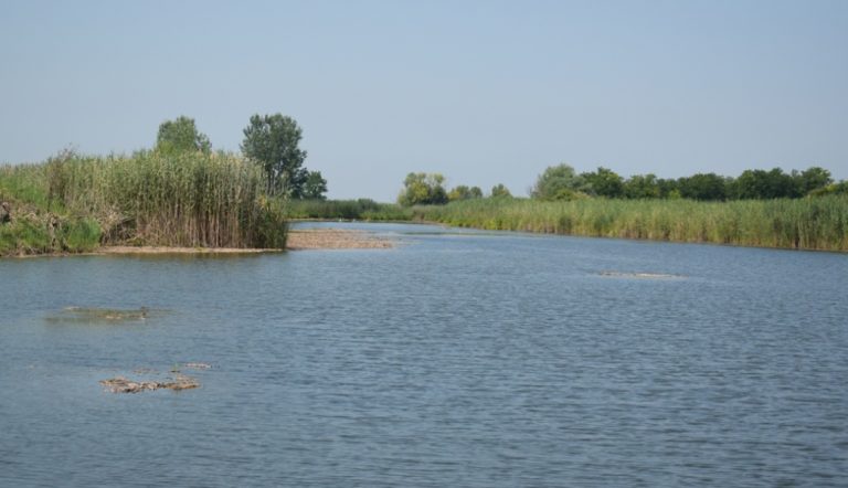 Srbobran u uređivanje Crne bare ulaže četiri miliona dinara