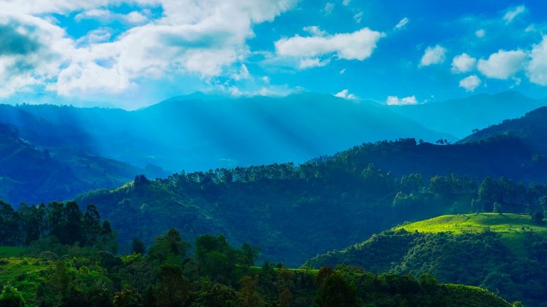Kolumbija zaštitila najveće područje kišnih šuma na svetu