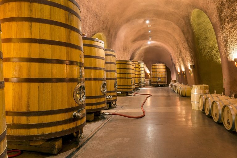 Nuklearna nesreća odražena na vino: Merlot sa voćnom aromom i – tragovima radioaktivnih čestica