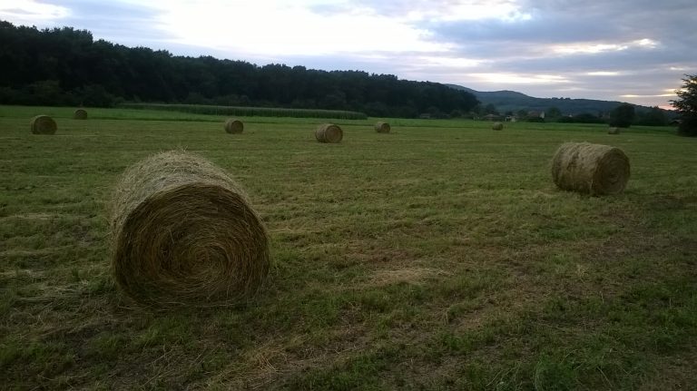 Anketa o strukturi poljoprivrednih gazdinstava