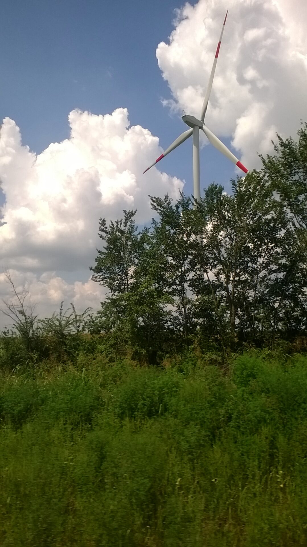 WP_20180730_13_38_38_Pro