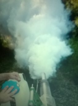 Foto: Zavod za biocide i medicinsku ekologiju