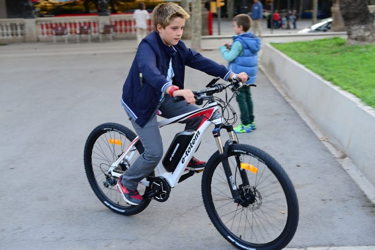 Električni bicikli: Sve omiljenija prevozna sredstva ljudi širom sveta