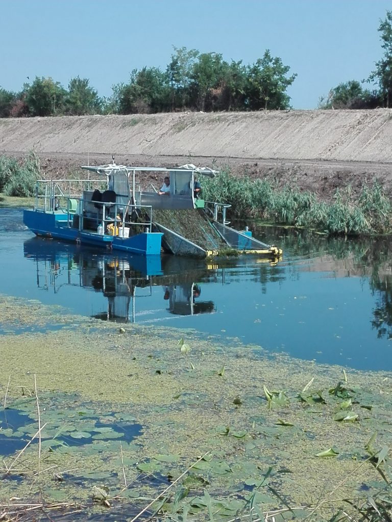JVP „Vode Vojvodine“ uklanjaju barsku vegetaciju na kanalima