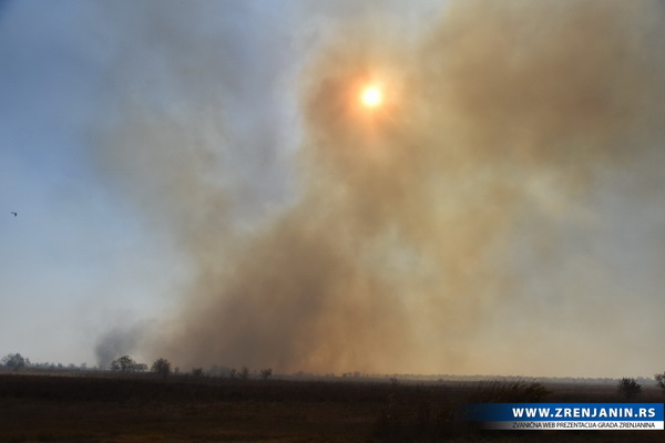 Zrenjanin: U požaru zahvaćen i rezervat “Carska Bara“ (VIDEO)