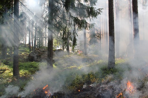 Gradski štab za vanredne situacije Zrenjanina uputio apel javnosti povodom požara