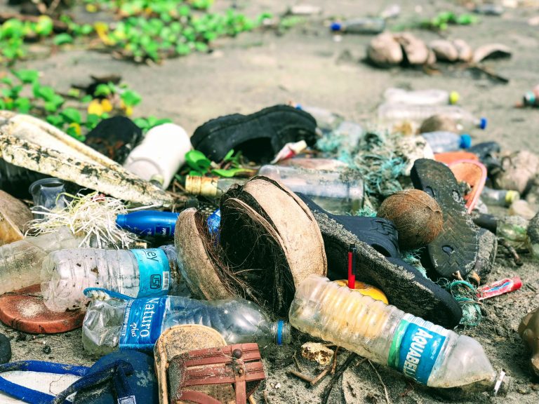 Smeće uzvraća udarac: Koje su posledice nepravilnog odlaganja otpada?