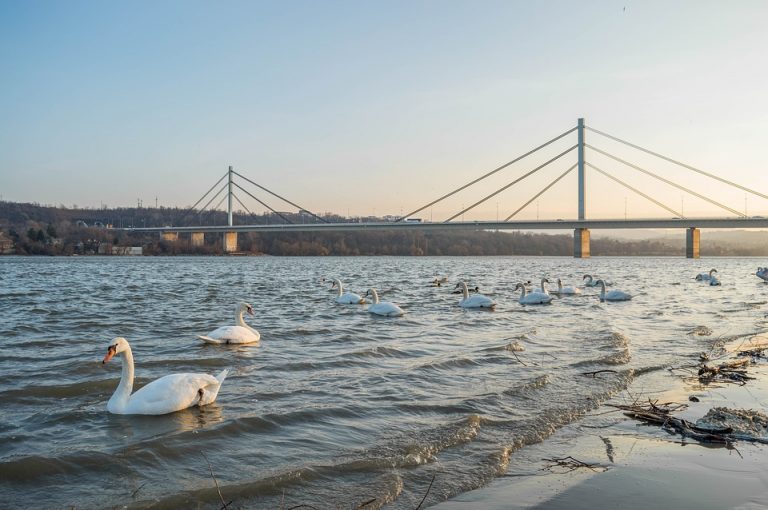 Novi Sad treći na listi 10 svetskih gradova koje turisti treba da obiđu