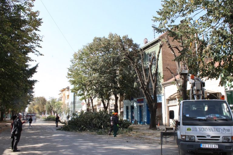 Počela akcija orezivanja stabala u Rumi