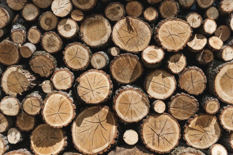 Povećana krađa drveta, šumari apeluju: Ne kupujte drvo koje nije žigosano šumskim žigom