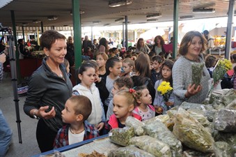 Obeležen Svetski dan pešačenja u Nikšiću