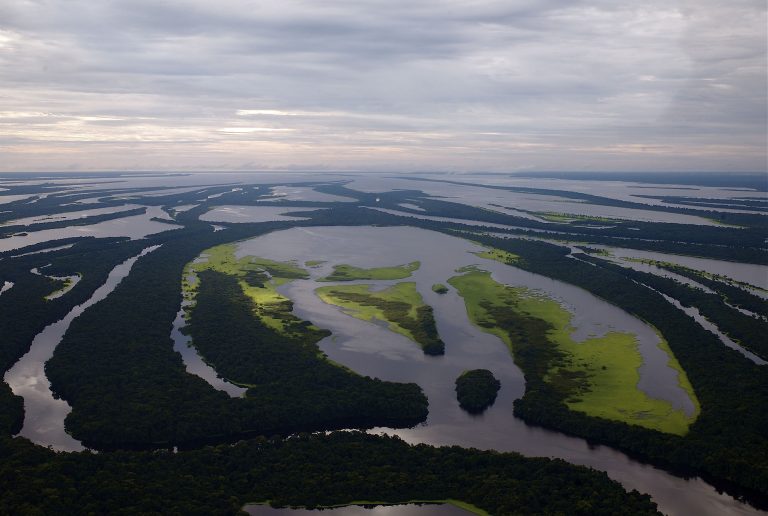 Prošlogodišnje krčenje amazonskih šuma najviše u protekloj deceniji: Otežano „disanje“ naše planete
