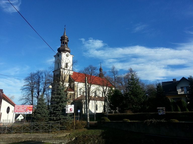 Poljske crkve – (ne)očekivani domovi mnogobrojnih vrsta ptica
